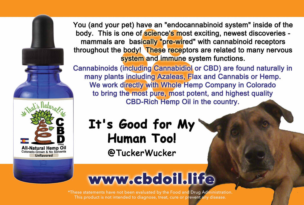 CBD Pet Drops (Unflavored) - 100mg